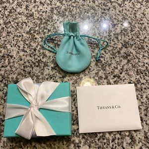 Tiffany & Co Retired Bow Necklace